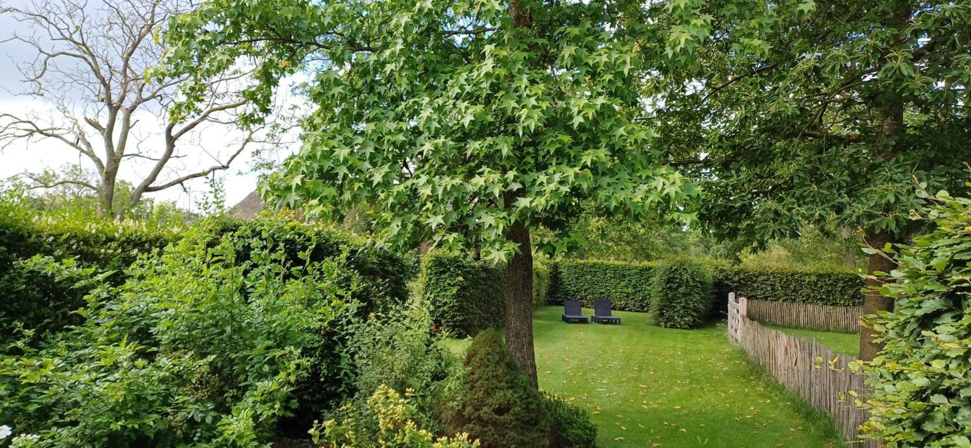 Bed & Breakfast Appenseweg Voorst Gem Voorst Exterior photo